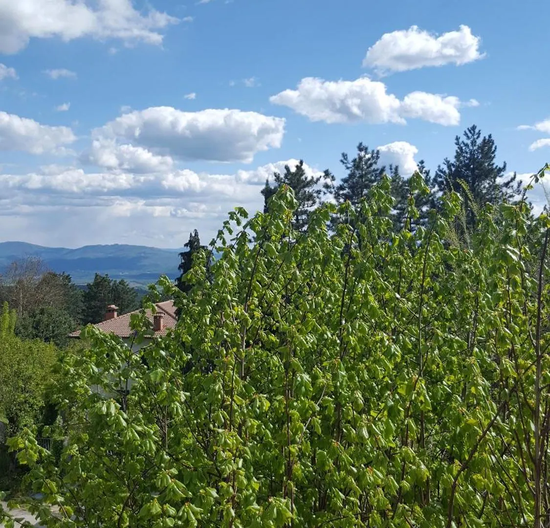 Albergo Ristorante Gualtieri Barberino di Mugello 2*,